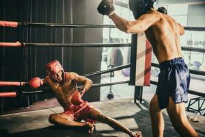 Boxer use various punch combinations, including the jab, hook, uppercut, cross, swing, straight. Getting in close to make opponent on ropes and knockout. Boxing champions win the round in boxing ring photo