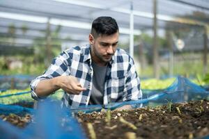 A worker on a vegetable farm examines soil conditions and crop growth to determine the best type and amount of crop to plant. A small business owner's daily planning and organizing routine photo