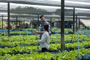 dos vegetal granja trabajadores crear cosecha herramientas y herbicidas a evitar cosecha daño. por colocación diferente plantas y suelo recursos, eso es posible a maximizar y sostener su utilización. foto