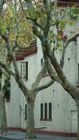 The old buildings view located in Shanghai of the city in China photo