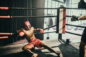 Boxer use various punch combinations, including the jab, hook, uppercut, cross, swing, straight. Getting in close to make opponent on ropes and knockout. Boxing champions win the round in boxing ring photo