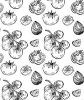 Seamless pattern with different tomatoes. vector