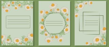 Set of botanical cards with Chamomile vector