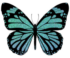 Brillantina mariposa diseño png