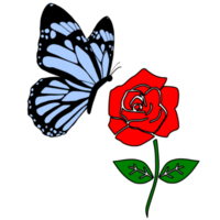 farfalla e rosso rosa png