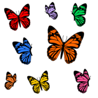 colorato farfalle design png