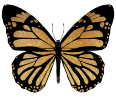 Jaune briller papillon png