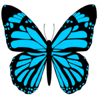 light blue butterfly png