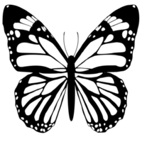 butterfly black and white png