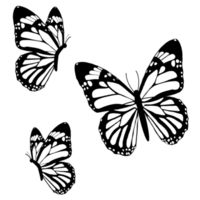 butterflies black and white png