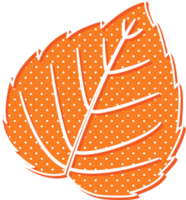 hand draw leaf png