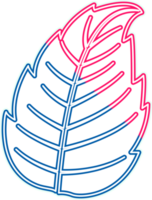 hand draw leaf png