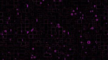 binary pink color abstract box pattern dark technology background video