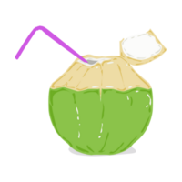 Illustration of a fresh young coconut drink png