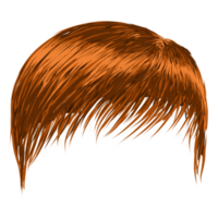 illustratie van bruin haar- stijl voor mannen png