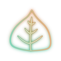 hand draw leaf png