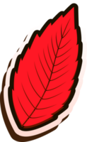 hand draw leaf png