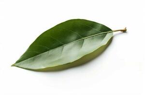 Green leaf isolated background. Generate Ai photo