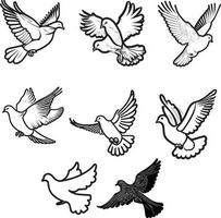 Flying Dove Outline Icon Isolated Line Vector Illustration