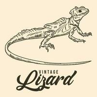 Vintage Hand Drawing Lizard Sketch Vector Stock Illustration