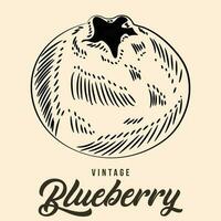 Vintage Hand Drawing Blueberry Fruit Sketch Vector Stock Illustration