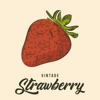 Vintage Hand Drawing strawberry Fruit Sketch Vector Stock Illustration Color