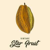 Vintage Hand Drawing Star Fruit Sketch Vector Stock Illustration Color