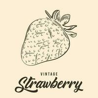 Vintage Hand Drawing strawberry Fruit Sketch Vector Stock Illustration