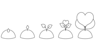 Stages of growth of a sprout from a seed to a heart-shaped flower in black and white vector