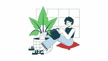 Watering plant animation. Animated curly hair woman 2D cartoon flat colour line character. Gardening houseplant 4K video concept footage on white with alpha channel transparency for web design