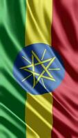 golvend vlag van Ethiopië golvend vlag vrij video
