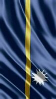 agitant drapeau de nauru agitant drapeau gratuit vidéo video