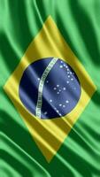 agitando bandiera di brasile agitando bandiera gratuito video