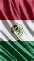 vinka flagga av mexikaner vinka flagga fri video