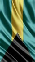 winken Flagge von Bahamas winken Flagge kostenlos Video