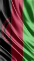 golvend vlag van Malawi golvend vlag vrij video