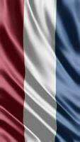 agitant drapeau de Hollande agitant drapeau gratuit vidéo video