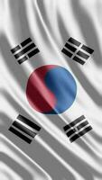golvend vlag van Zuid-Korea golvend vlag vrij video