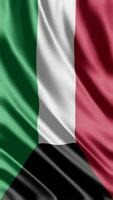 golvend vlag van Koeweit golvend vlag vrij video