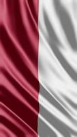 winken Flagge von Monaco winken Flagge kostenlos Video