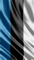 acenando bandeira do Estônia acenando bandeira livre vídeo video