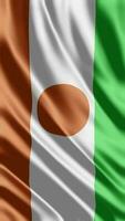 acenando bandeira do Nijer acenando bandeira livre vídeo video