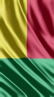 Waving Flag of benin Waving Flag Free Video