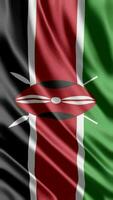 agitant drapeau de Kenya agitant drapeau gratuit vidéo video