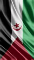 vinka flagga av sahara-demokratiska vinka flagga fri video