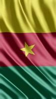 winken Flagge von Kamerun winken Flagge kostenlos Video