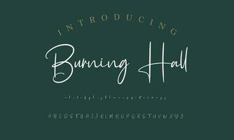 Signature Font Calligraphy Logotype Script Brush Font Type Font lettering handwritten vector
