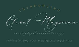 Signature Font Calligraphy Logotype Script Brush Font Type Font lettering handwritten vector