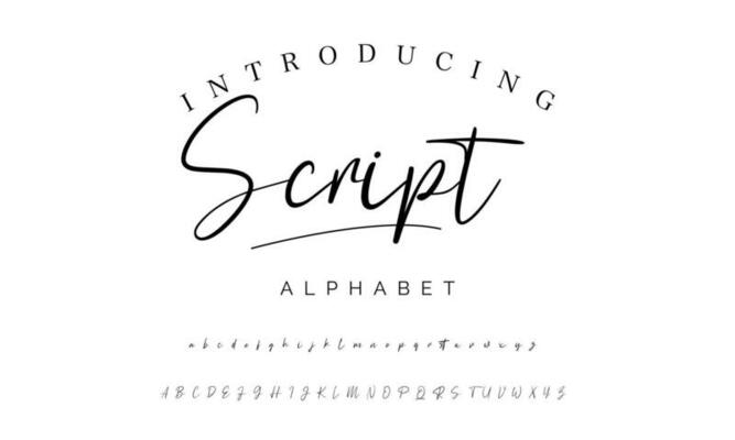 Signature Font Calligraphy Logotype Script Brush Font Type Font lettering handwritten