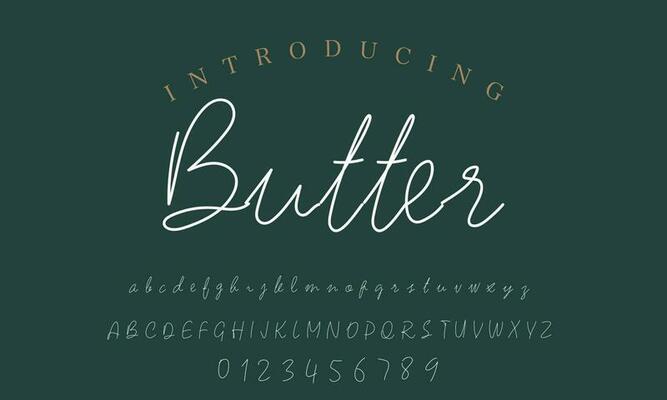 Signature Font Calligraphy Logotype Script Brush Font Type Font lettering handwritten